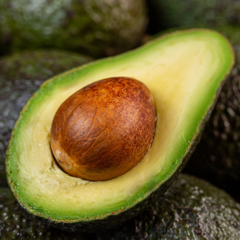 아보카도 특대과